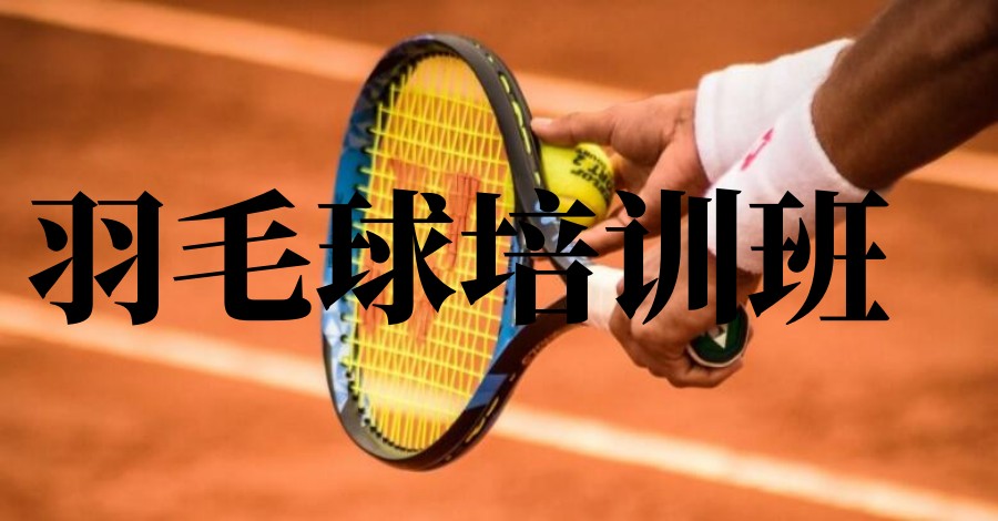 天津青少年羽毛球培训班排名前五TOP汇总一览.jpg 天津青少年羽毛球培训班排名前五TOP汇总一览.jpg