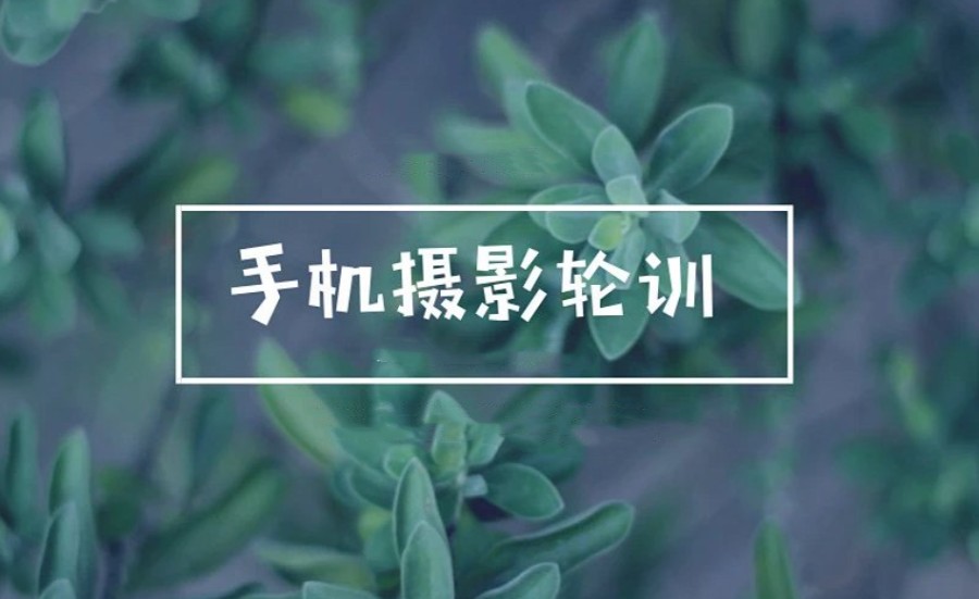 深圳人气推荐几家专业的手机摄影培训班排名名单.jpg