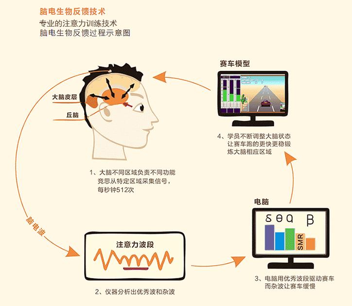 竞思脑电生物反馈原理