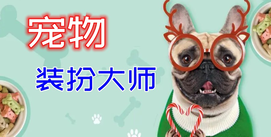 TOP榜推荐北京专业培训宠物美容师五大机构排名清单.jpg
