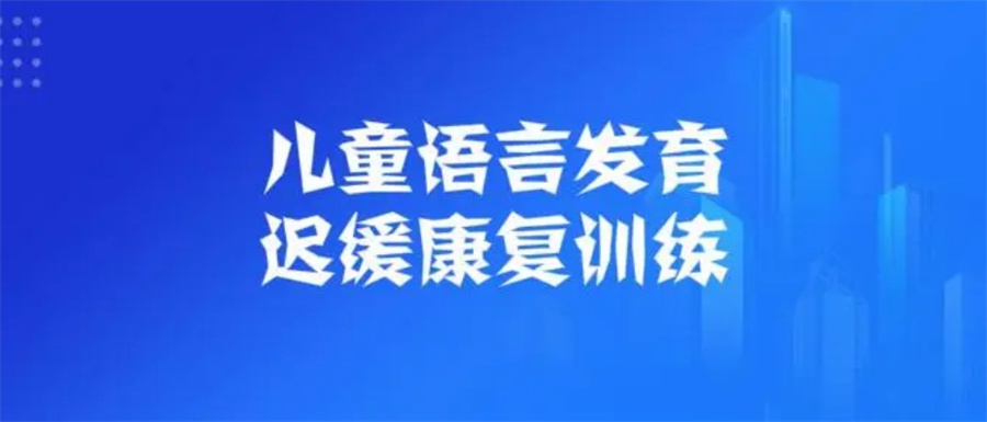 国内十大正规儿童语言发育迟缓感统培训机构排行榜
