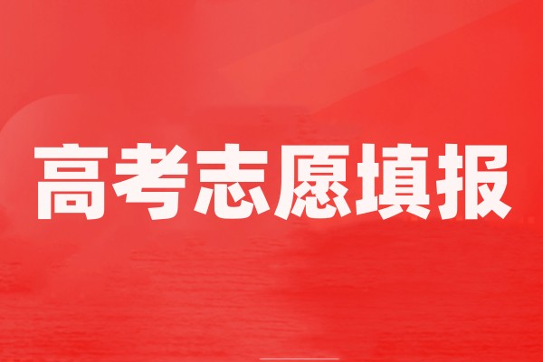 南宁排名前五的高考志愿填报指导培训机构名单汇总