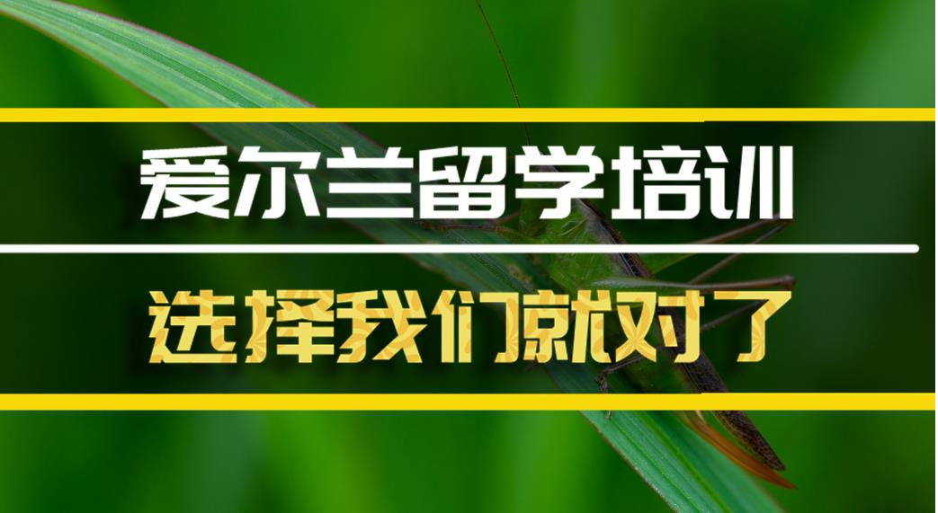 国内排名靠前的爱尔兰留学中介机构实力榜单