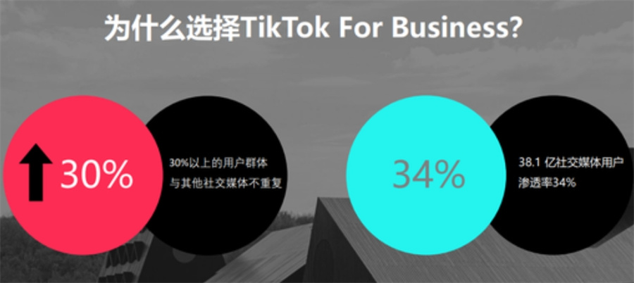 国内有实力的Tiktok跨境电商培训机构十大排行榜一览
