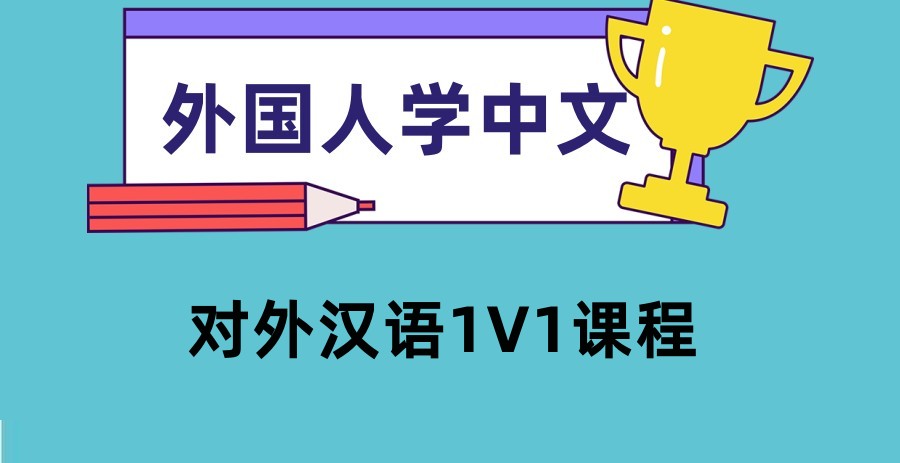 对外汉语1V1课程