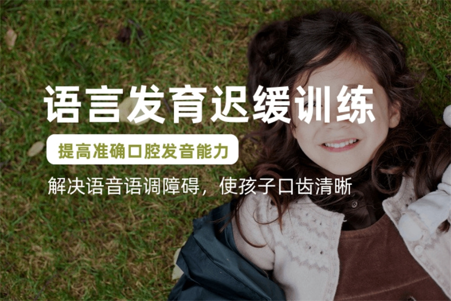 国内儿童语言发育迟缓康复训练正规机构十大排名