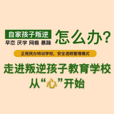 叛逆,网瘾,早恋