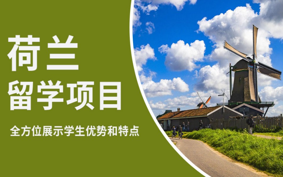 武汉实力强的三大荷兰留学中介机构名单