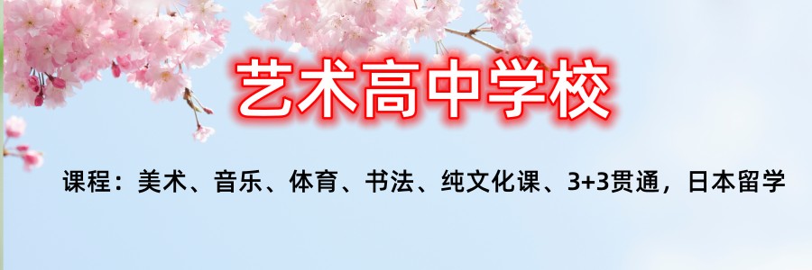 上海民办美术艺术高中学校排名揭秘