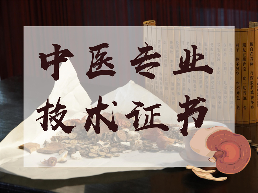 针灸培训,正骨培训,推拿培训,中医培训
