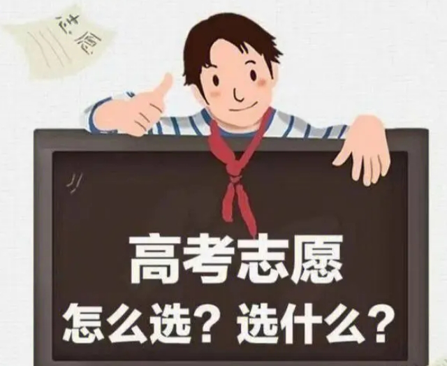 高考志愿填报辅导机构