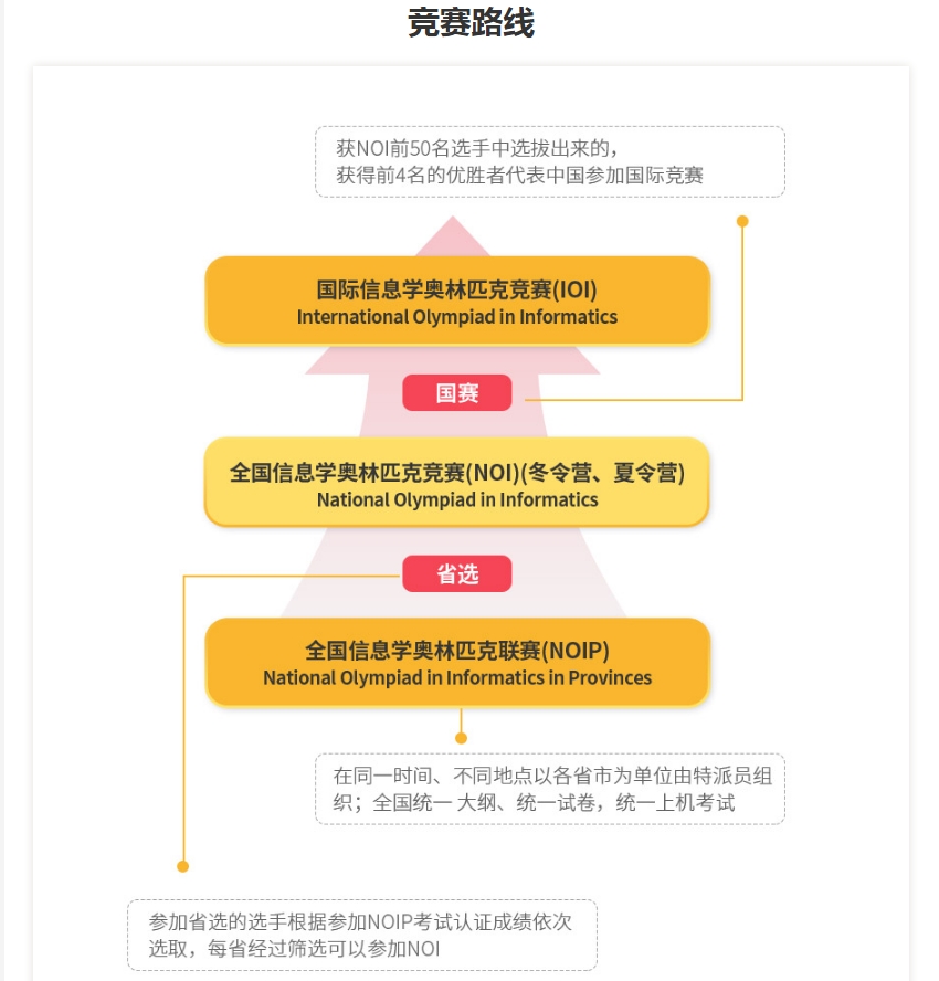 更新十大专门针对学NOIP信息学奥赛编程培训机构