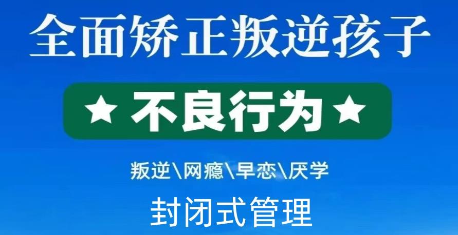 叛逆戒网瘾特训 叛逆戒网瘾特训