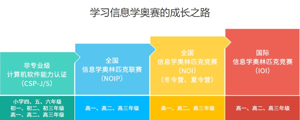 排名前十大信奥赛CSP-J/S编程机构名单2024更新一览