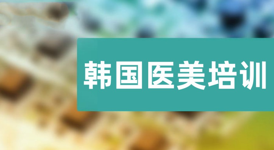 韩国医美培训