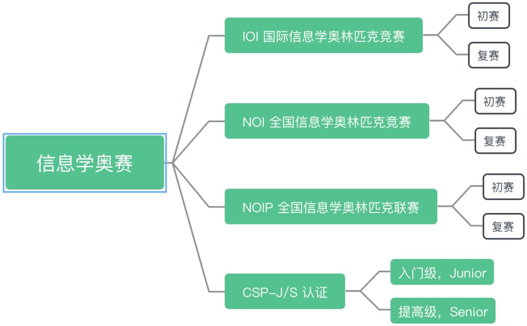 十大信息学奥赛网课培训平台排名