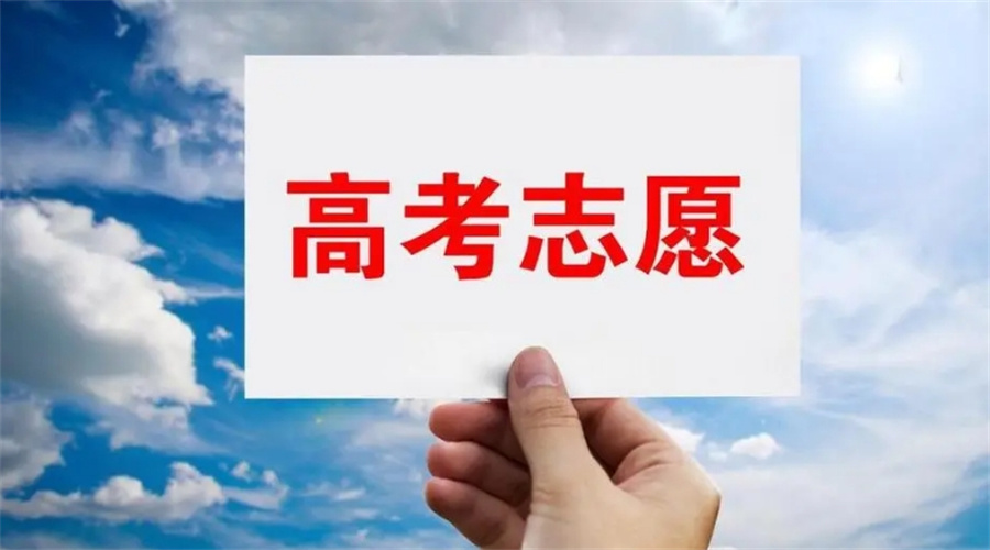 高考志愿填报辅导