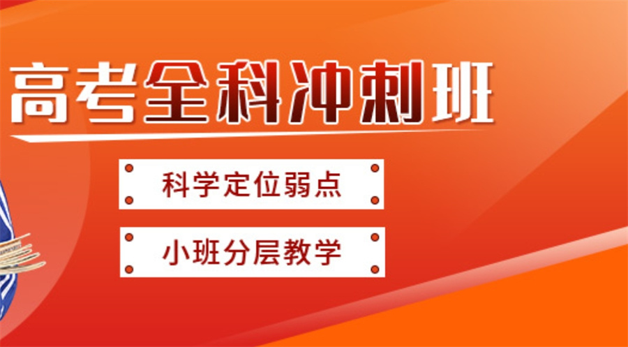 高三全日制辅导机构