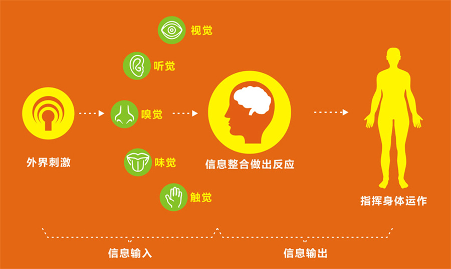 宝妈必知:哈尔滨十大儿童感统训练好的康复机构TOP榜整理一览.jpg