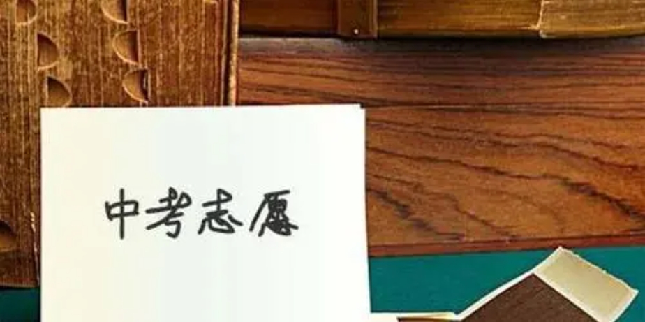 中考志愿填报指导机构