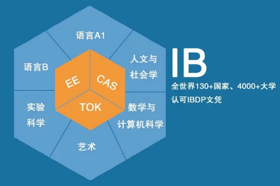正规国际课程学科辅导培训机构前十名.jpg