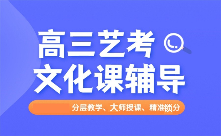 艺考文化课