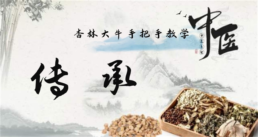 中医师承培训 中医师承培训