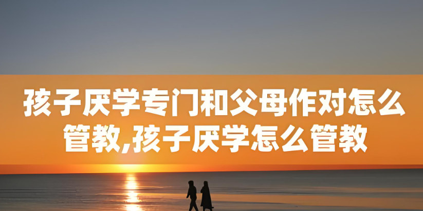 专管叛逆网瘾孩子的学校