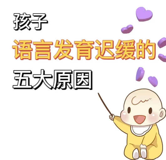 连云港儿童语言迟缓康复训练 连云港儿童语言迟缓康复训练