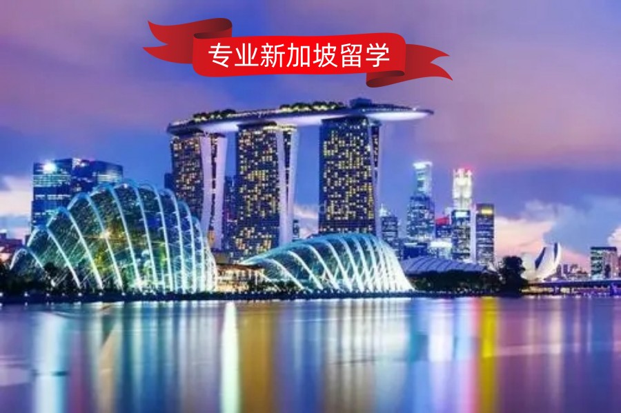 办理新加坡留学口碑好的十大中介机构实力排名-实现留学梦