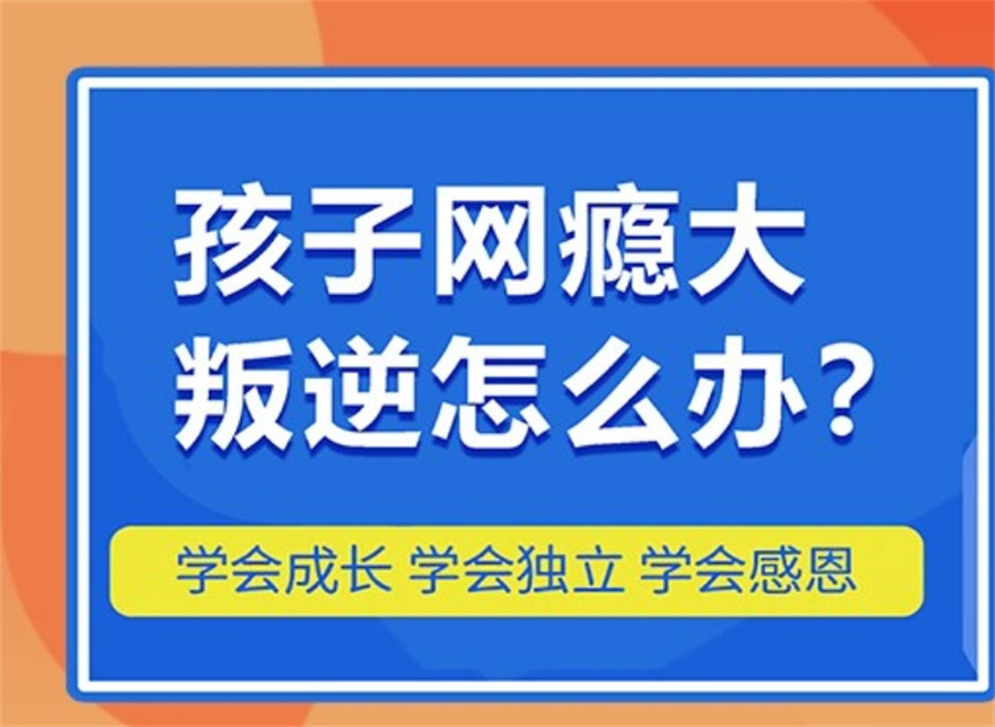 叛逆戒网瘾管教