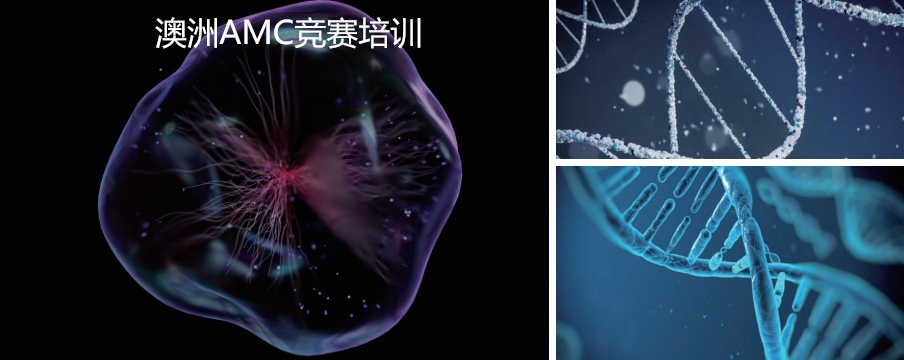一览澳洲AMC培训机构十大名单热榜揭晓