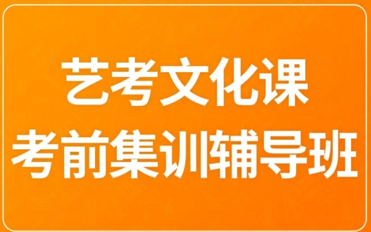 艺术生文化课辅导集训