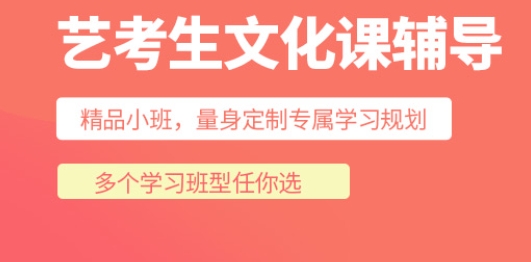 艺考文化课.png