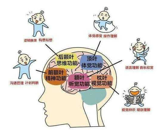 哈尔滨十大儿童语言迟缓康复训练机构排名盘点