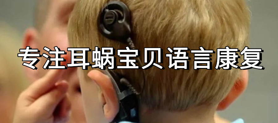 耳蜗宝宝语言康复训练机构