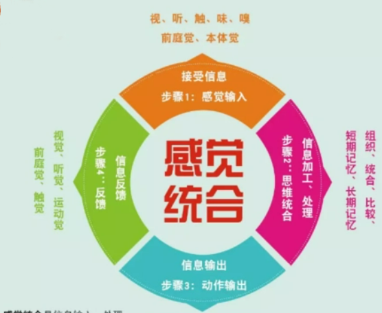 常州靠谱的儿童感统失调问题康复训练课程