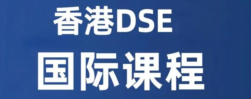 DSE培训