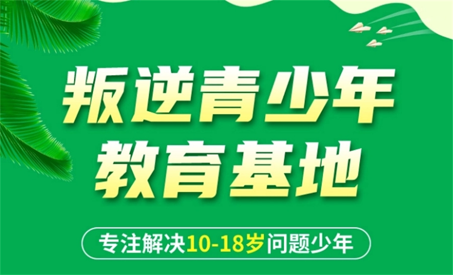 问题少年叛逆管教营