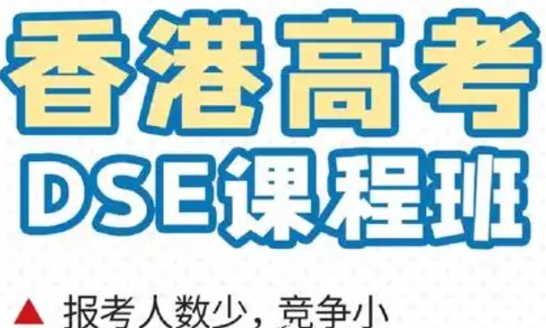 香港DSE考试培训