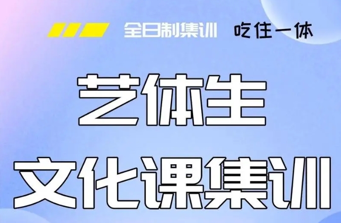 艺考文化课冲刺集训营
