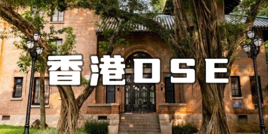 DSE培训