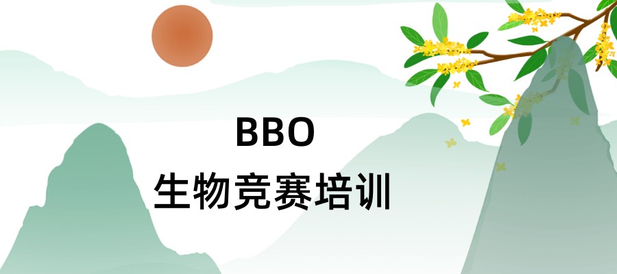 BBO竞赛培训机构