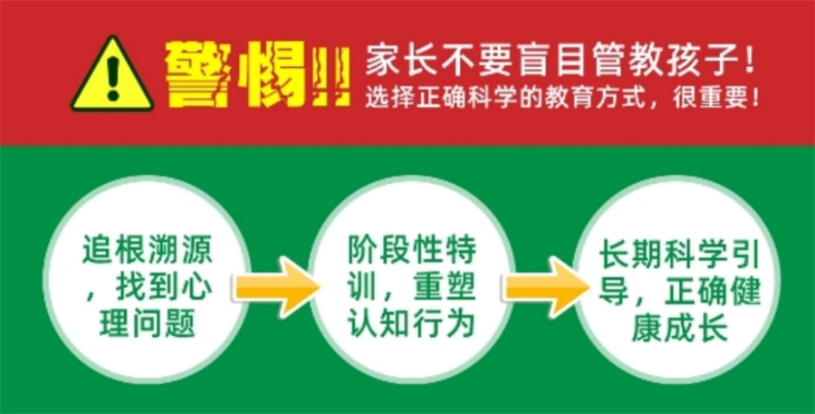 叛逆学校 叛逆学校
