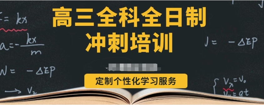 高考集训辅导 高考集训辅导