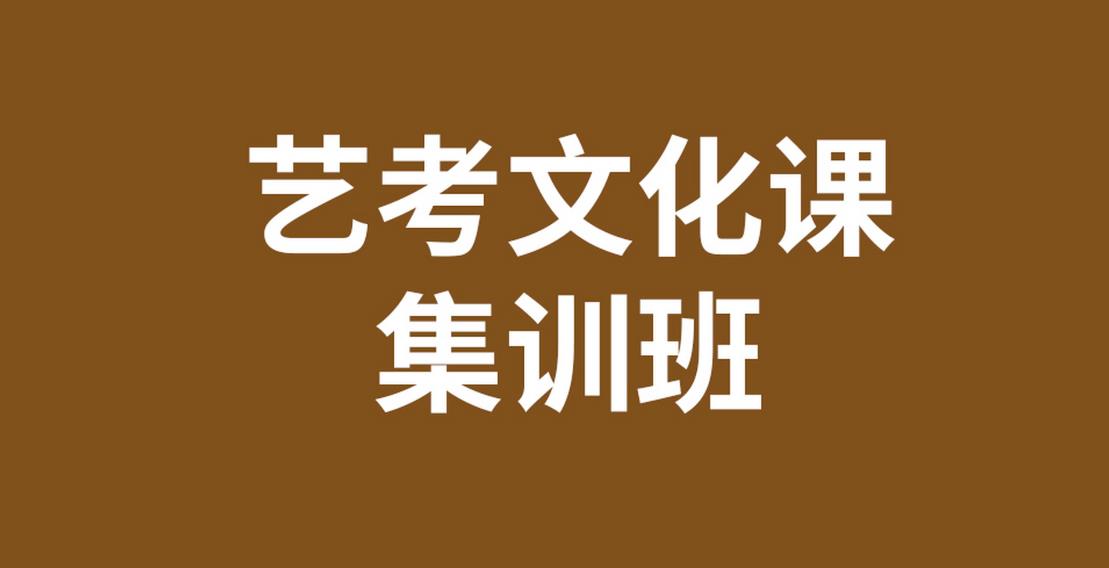 武汉艺术生文化课冲刺辅导班2025口碑一览十大排名表
