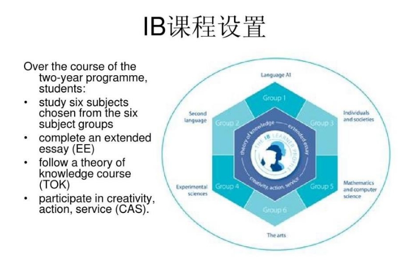 国际IB辅导机构