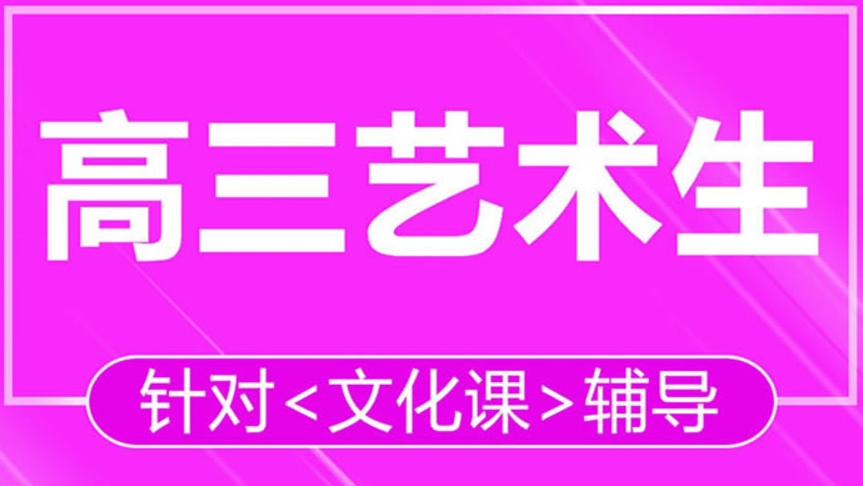 高三艺考文化课集训
