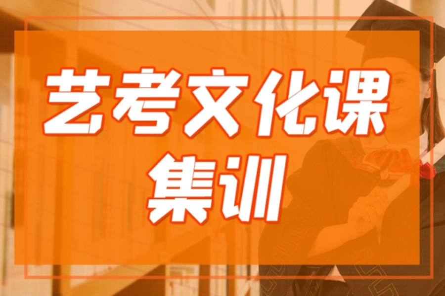 艺考文化课集训机构哪家好