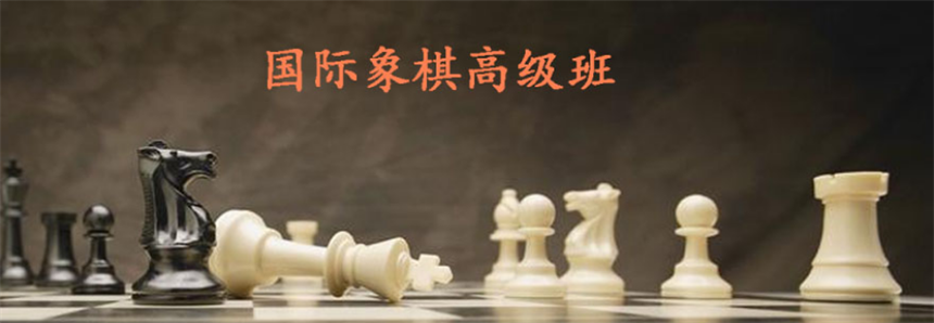 TOP十大国内正规国际象棋培训机构实力排名更新